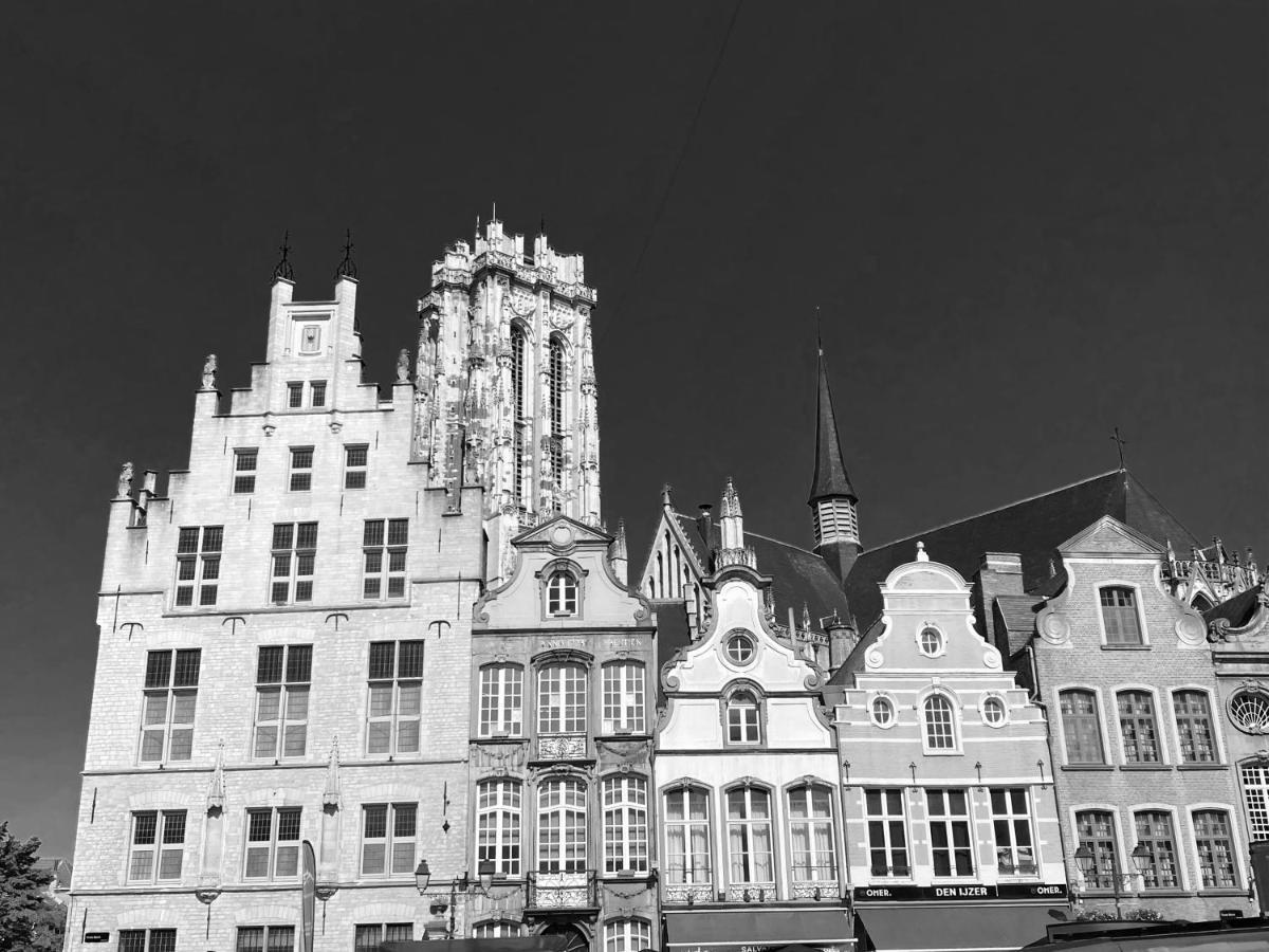 Bed and Breakfast Nova Zembla Мехелен Екстер'єр фото